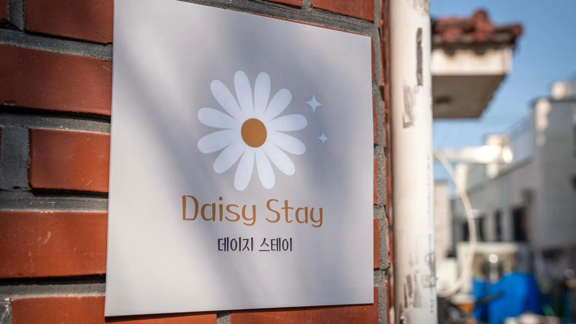 Daisy Stay Seoul 0*,